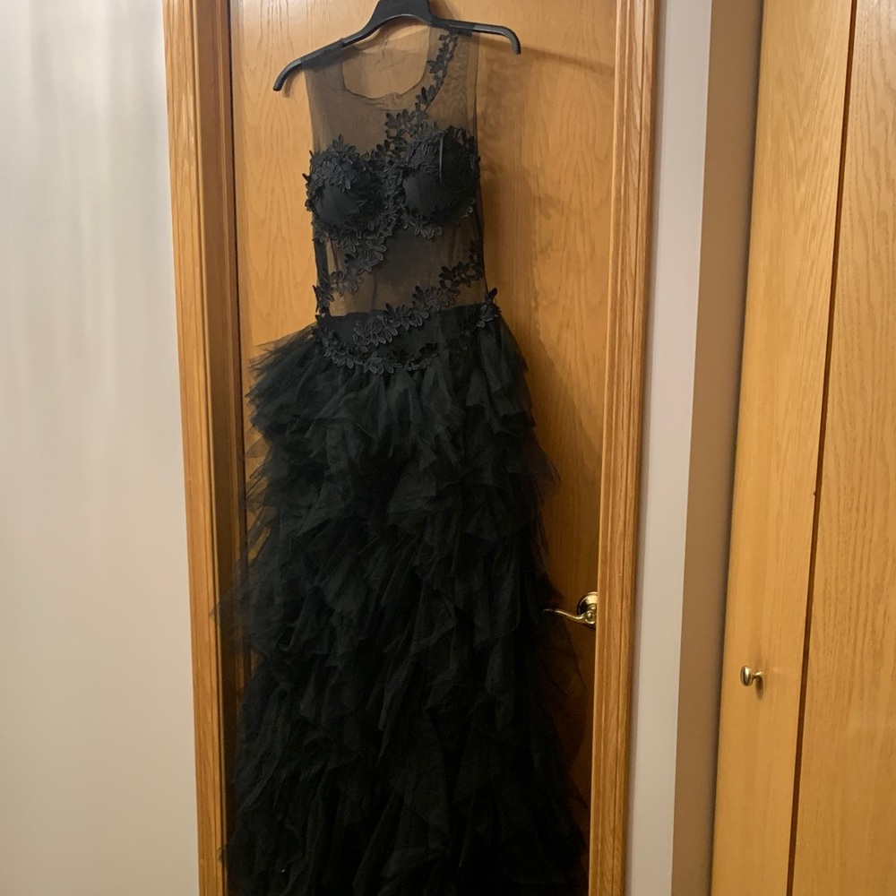 Fashion Nova Black Sheer Ruffle Dress